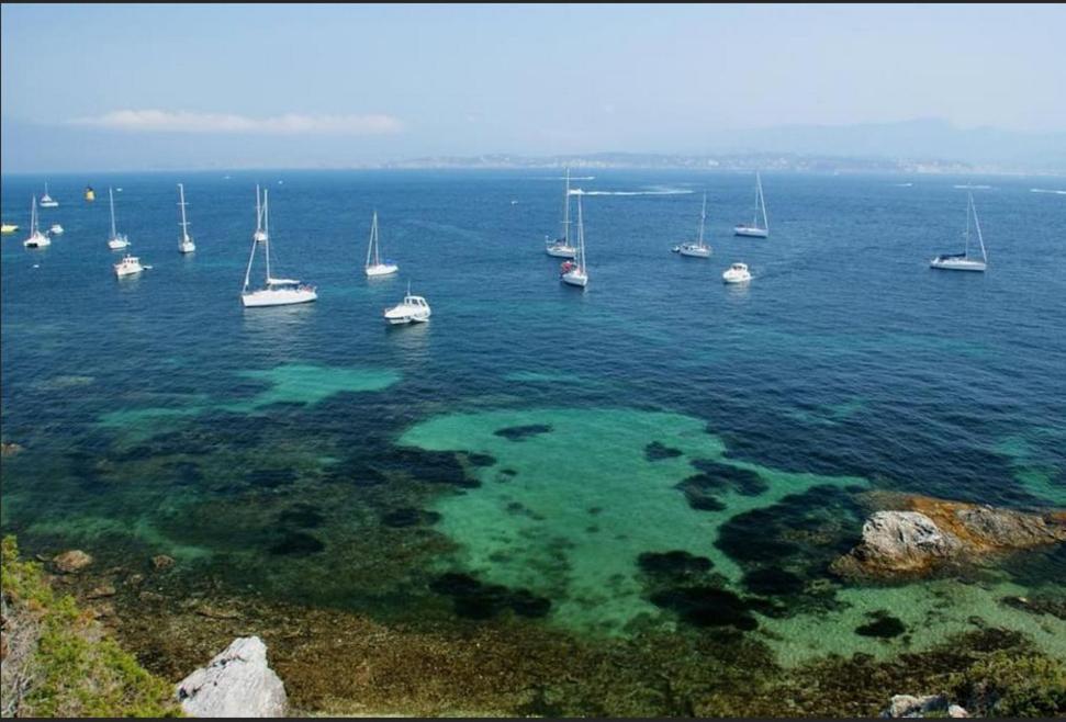 Chambrestudio Bord De Mer, Piscine Six-Fours-les-Plages Extérieur photo